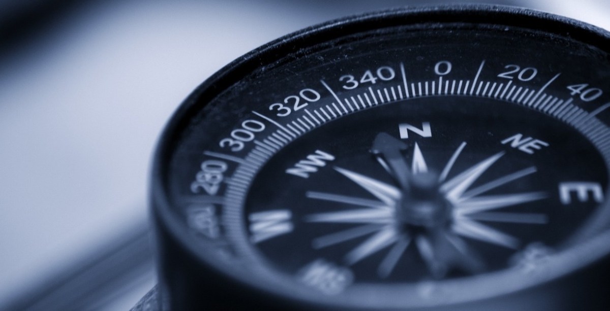 Navigating Change and Finding Belonging in a New City and&nbsp;Job